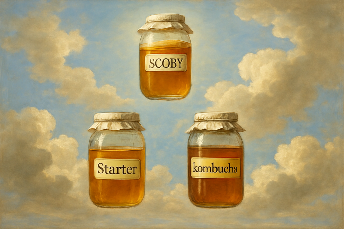 Kombucha Brewing 101